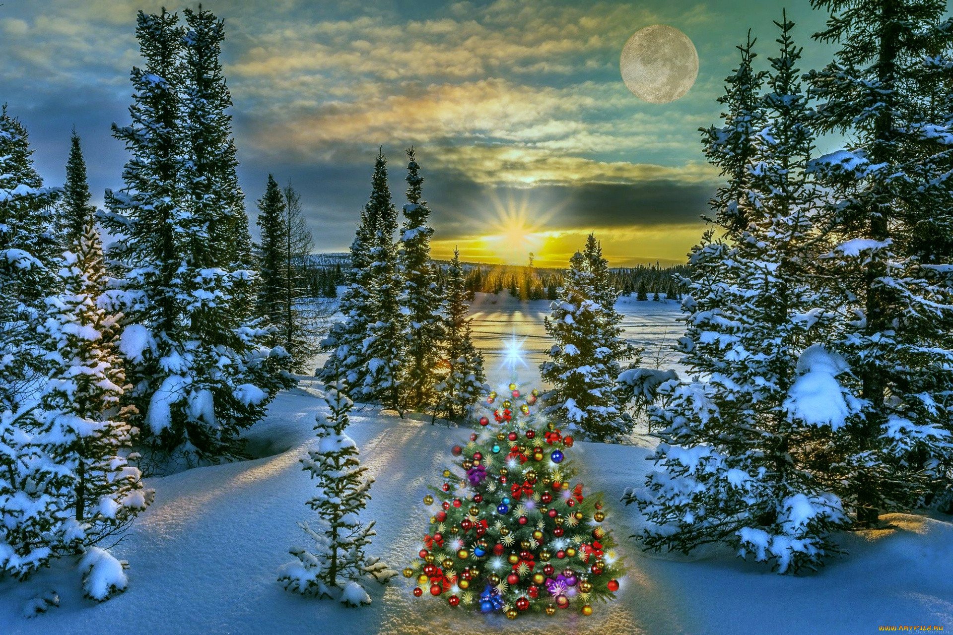 �����������, ����, ����������